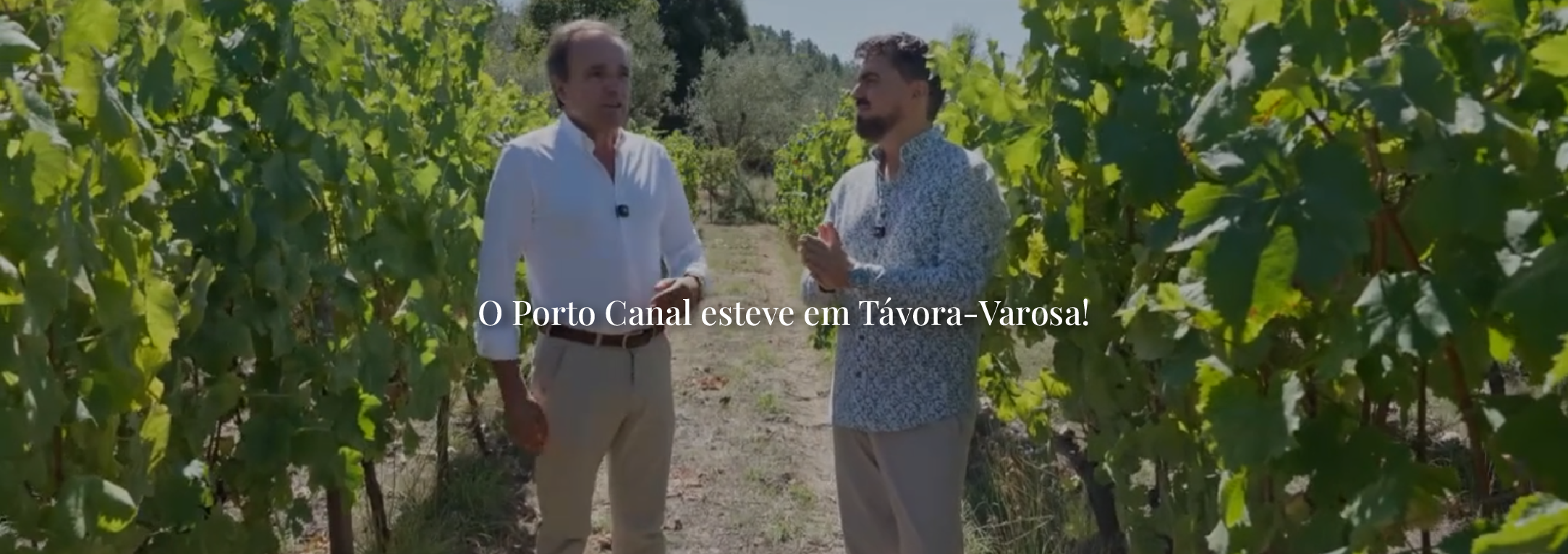 Reportagem Porto Canal 2026 Home